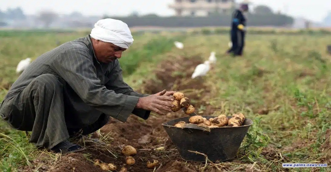 العراق في المركز الثامن كأكثر الدول استقبالا للصادرات الزراعية المصرية